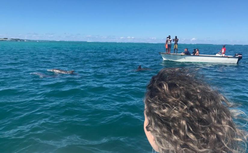 Про дельфинов